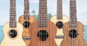 Ukulele - modne maleństwo